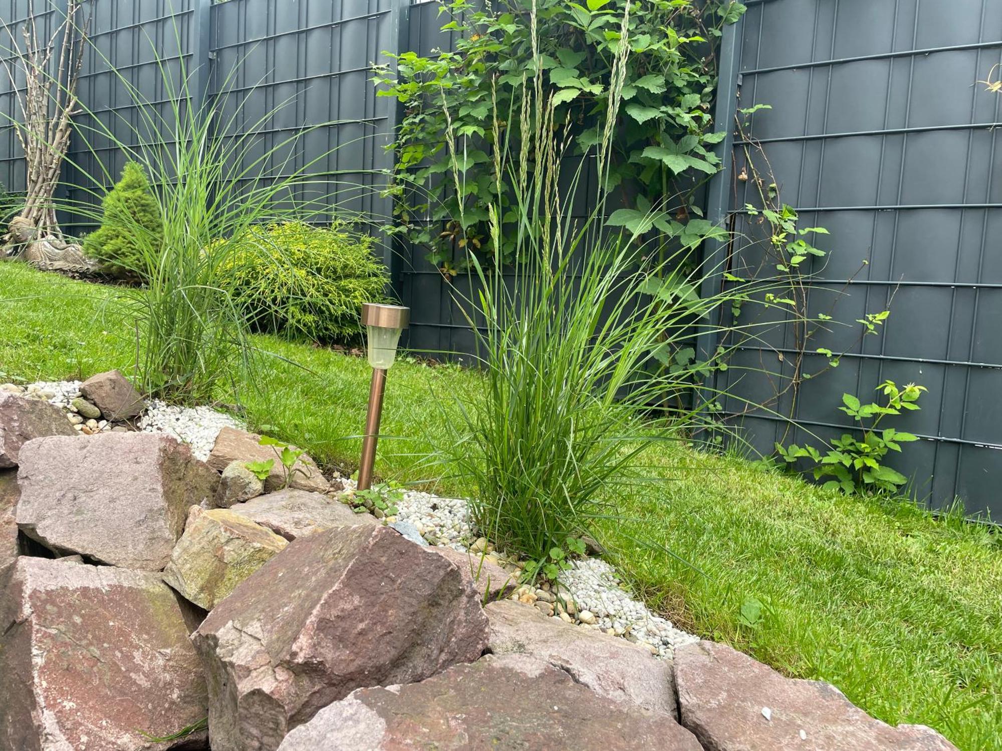 Gemuetliche Wohnung Idyllische Lage Naehe Frankfurt Alzenau Extérieur photo